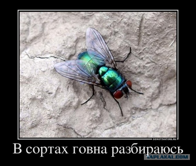 Раздача сокровищ из галереи