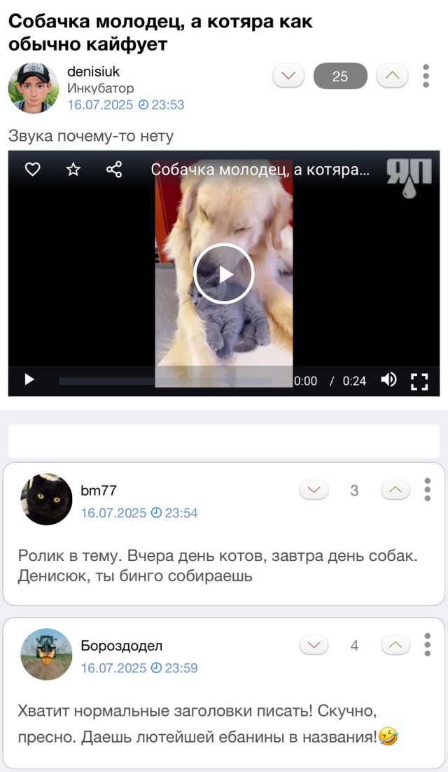 Виноградный плотничный хрен – козлина