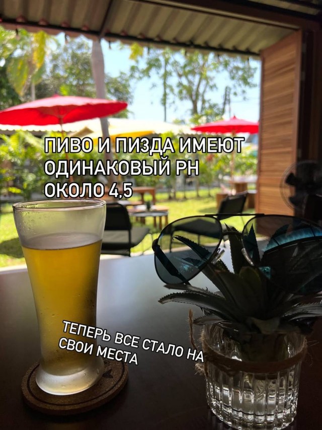 Картинки для деградации-5 (разной степени свежести)