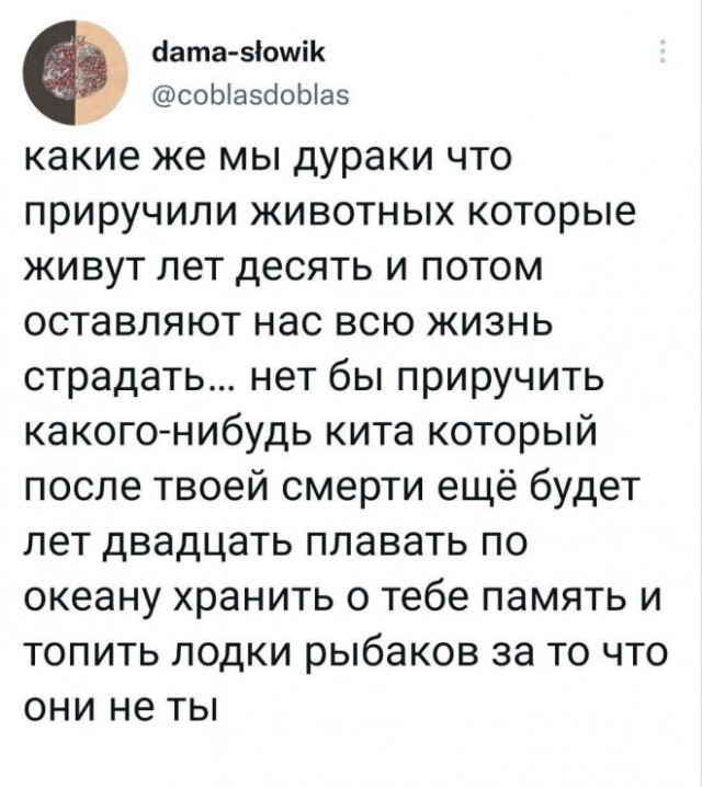 Веселые картинки в понедельник (04.08)