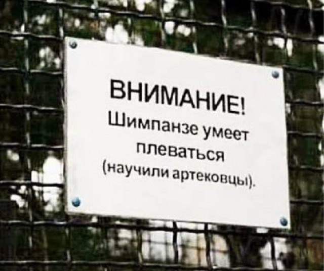 Картинки для деградации 15 (разной степени свежести)