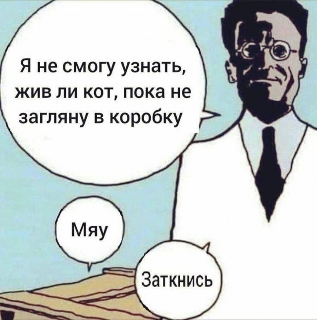 "Видео с котом" из 2024 атомов для квантовых вычислений
