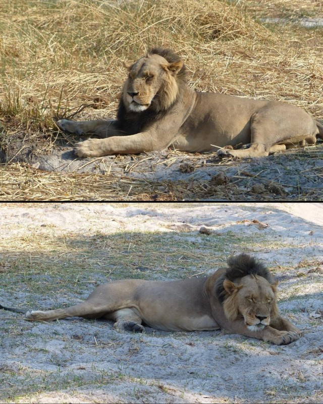 Мужчины чуть за 30