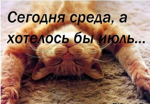 Картинок немного в среду утром