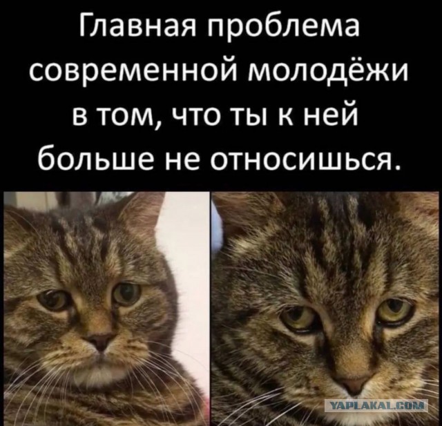 Уличную певицу Наоко, которая исполняла песни иноагентов, арестовали на 13 суток в Санкт-Петербурге.
