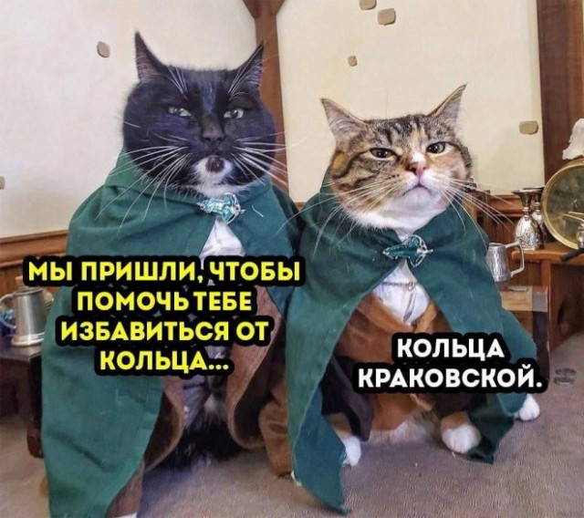 Веселые картинки в маленькую пятницу (05.11)