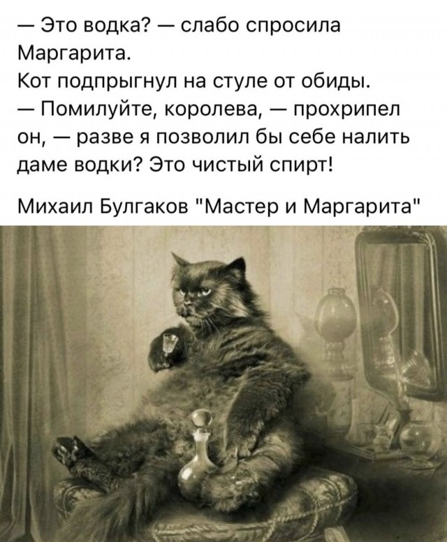 Чёрно белые картинки