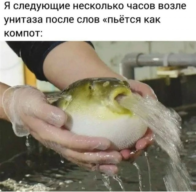 Так себе картинки 13.12.25