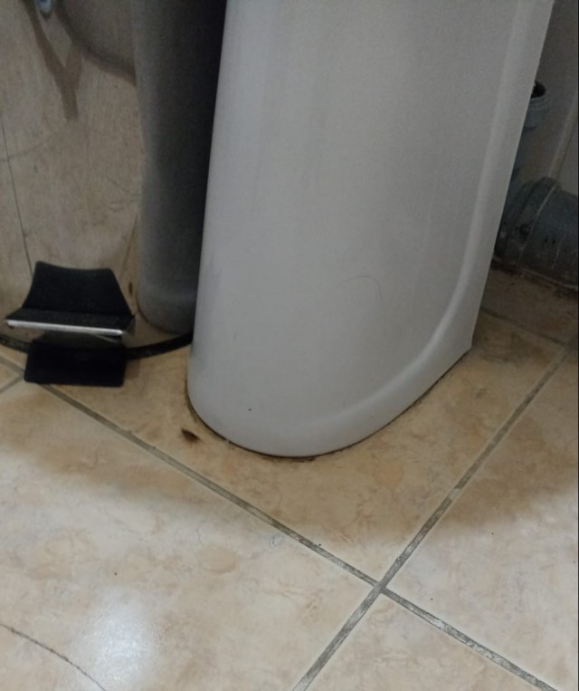 Про тараканов