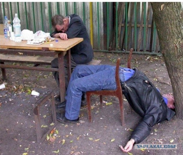 Каникулы начинаются, коллеги