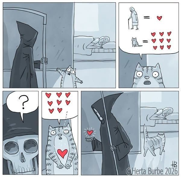 Котовое