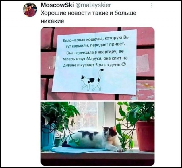 Так себе картинки 18.08.26