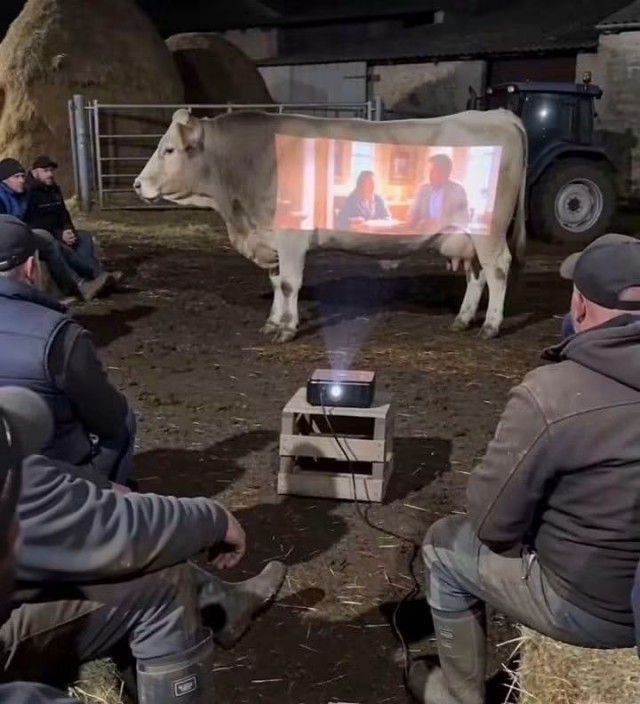 Капля юмора дальше...