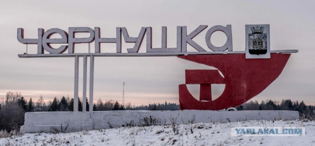Чернушка на субботу