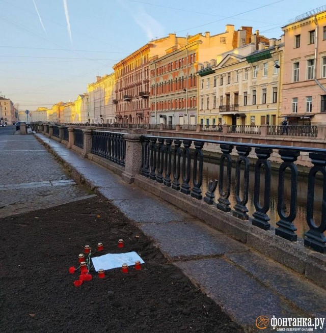 115 лет рос, за один день спилили