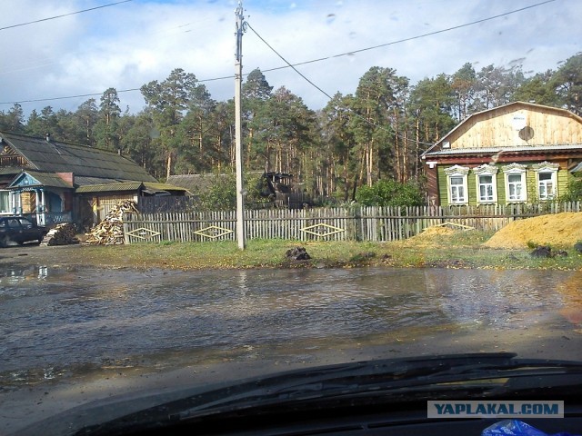Все таки успел надрать грибов