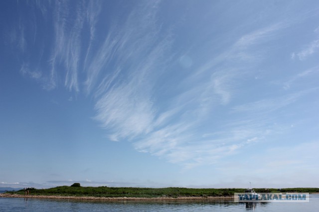 Природа Приморского края