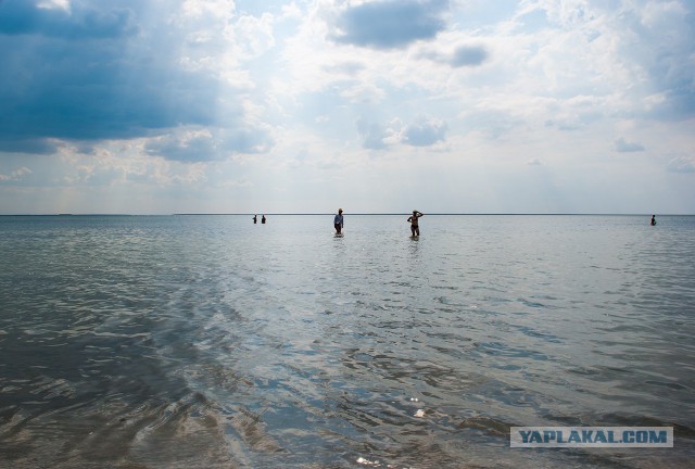 Арабатская стрелка