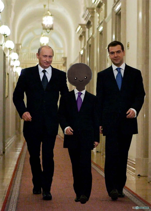 Приключения какашки