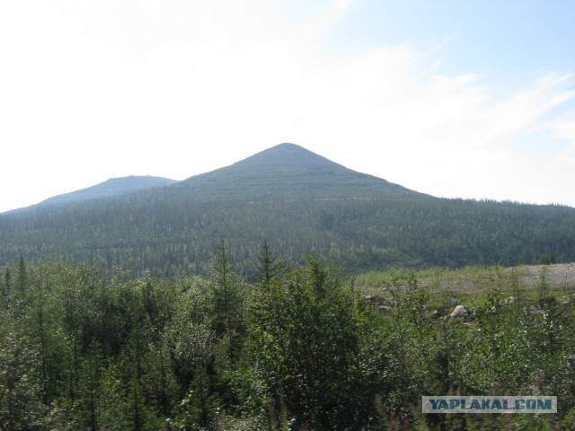 Рыбалка в Олекминске