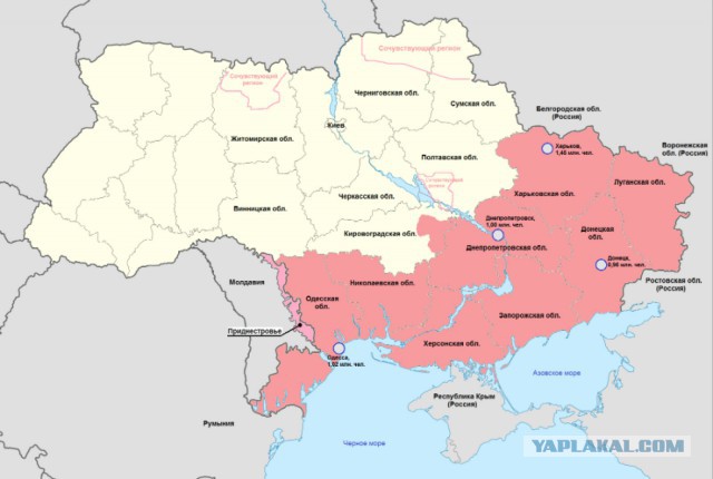 Выборы в Новороссии