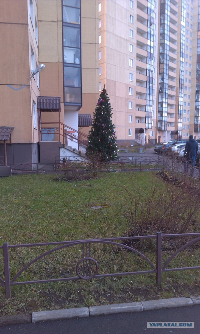 Зима 2014-2015