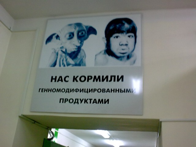 Откопал старый телефон, забитый фотками забавными