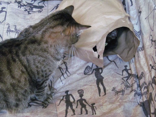 - За что?! - Было б "за что" - вообще убил бы!