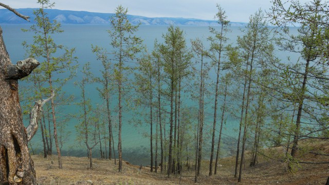 А в моих ботинках до сих пор байкальский песок…