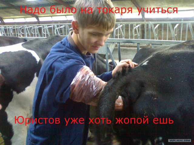 Устроился на новую работу