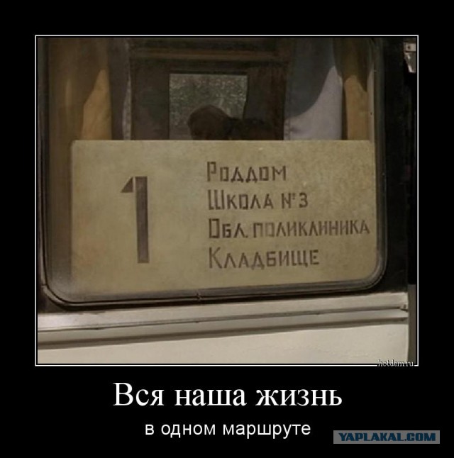Демотиваторы на субботу