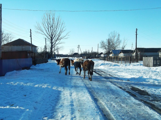 Подборка картинок 20.02.16