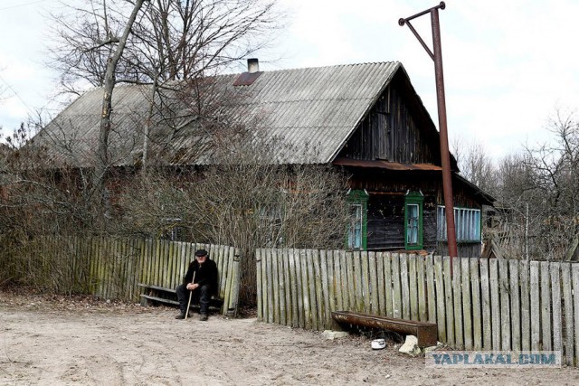 Чернобыльский долгожитель