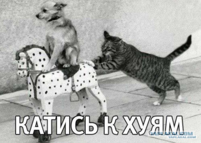 Настоящий OxiMironov: Рэп-ответ