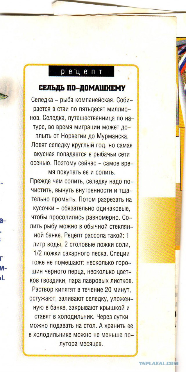 Посиделки под селёдку