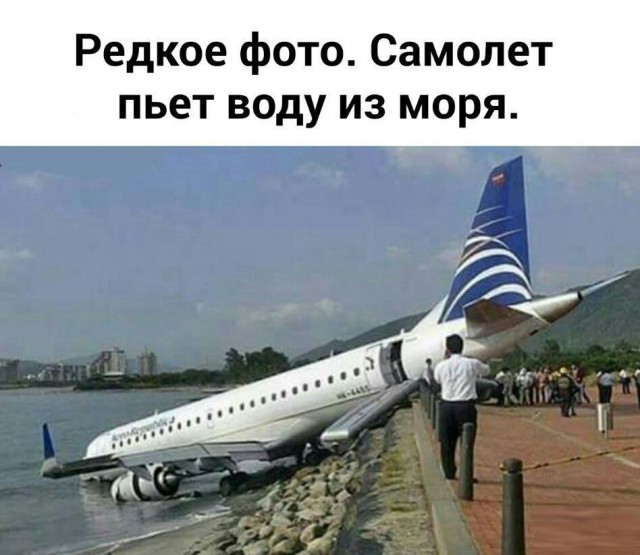 Порция картинок из сети