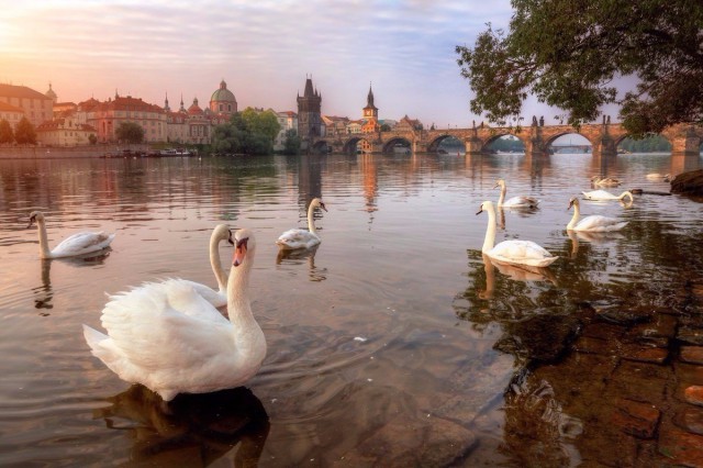 Фотографии из самых разных уголков планеты которые захватывают дух.