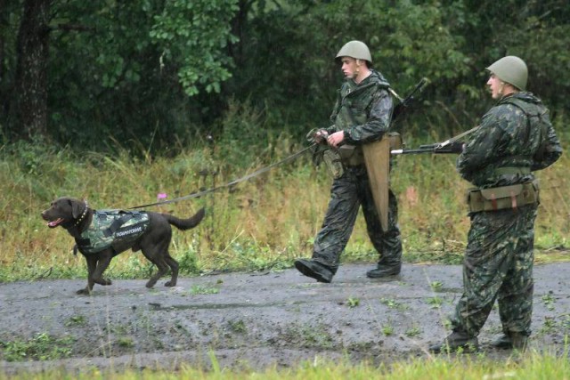 Два слова о сапёрах