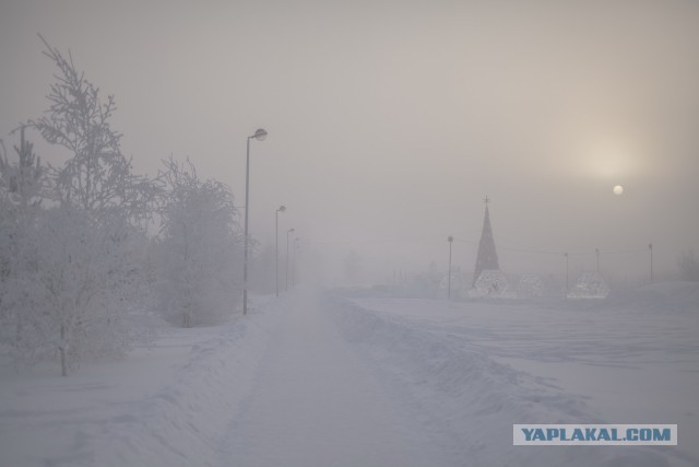 Сургут в -50 в картинках.