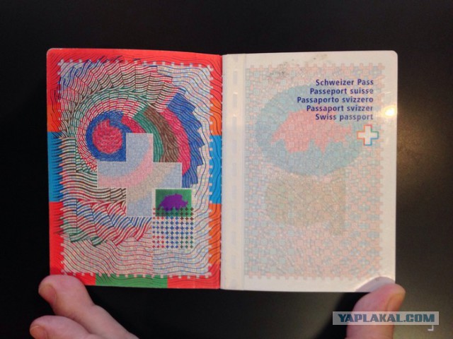 Что означает цвет твоего паспорта