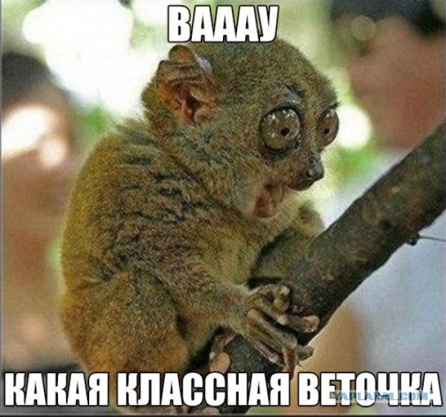 Главная загадка рыбалки Путина