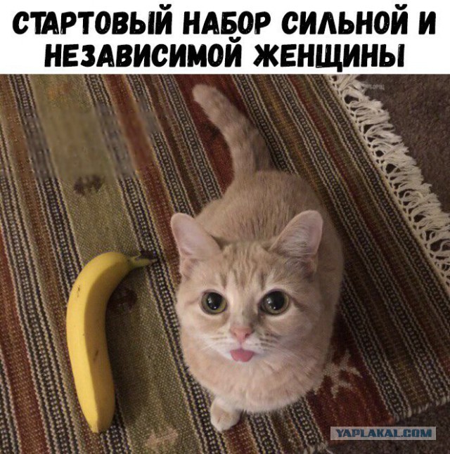 Журнал деградант