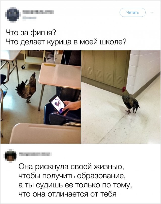 Комментарии из соцсетей