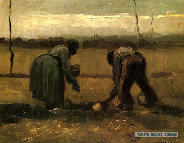 Едоки картофеля