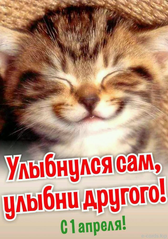 Беседка ФиС ЯПа 5