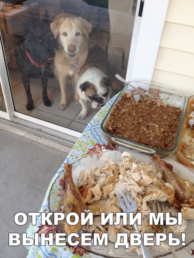 Нестандартный юмор