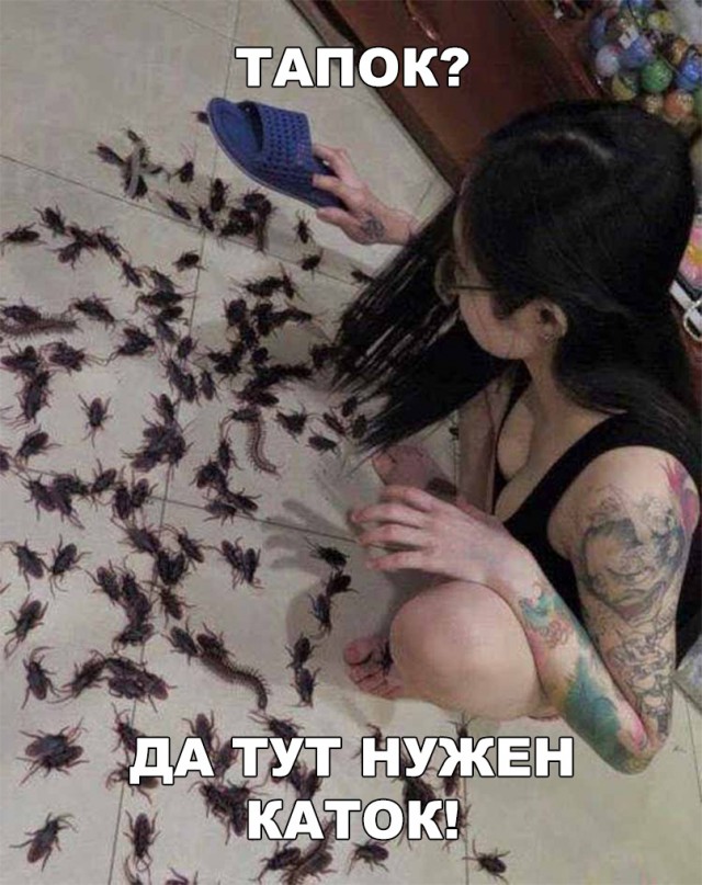 Нестандартный юмор