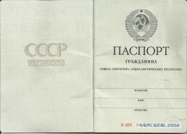 Что находится внутри паспортов у жителей разных стран