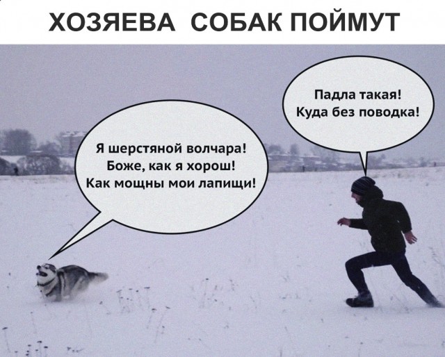 Прикольные картинки абавсём