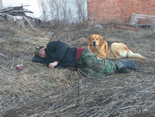 Скотсети и прочие интернеты 25.04.2019